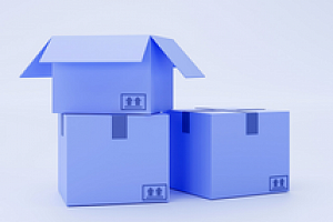 «КОРУС Консалтинг» оптимизировал работу склада в дистрибьюторе «Санг» на платформе 1С:WMS