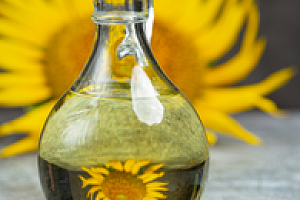 Масложировой бизнес группы «РУСАГРО» оптимизировал управление двором на складах при помощи «КОРУС Консалтинг»