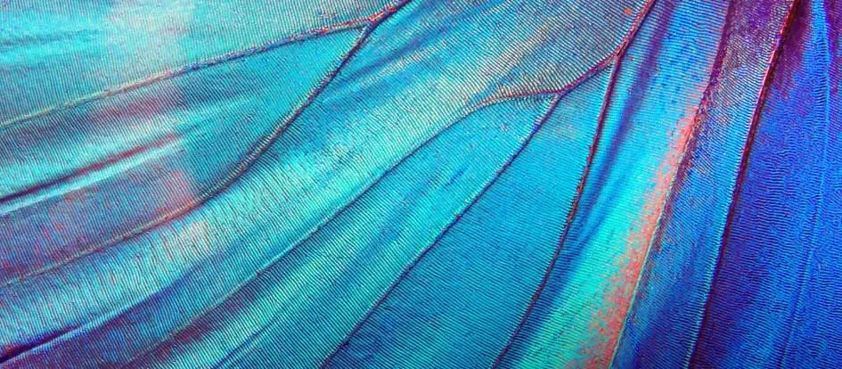 Pul uchun ormonda rus pornosini tomosha qiling